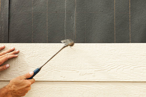 Best Siding for New Construction  in Holden, MO