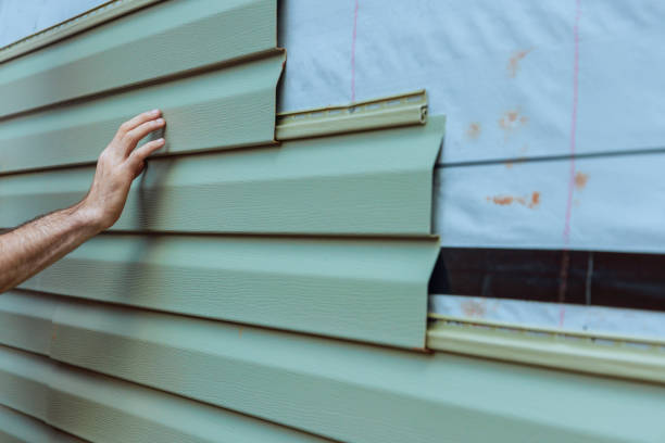 Best Vinyl Siding Installation  in Holden, MO